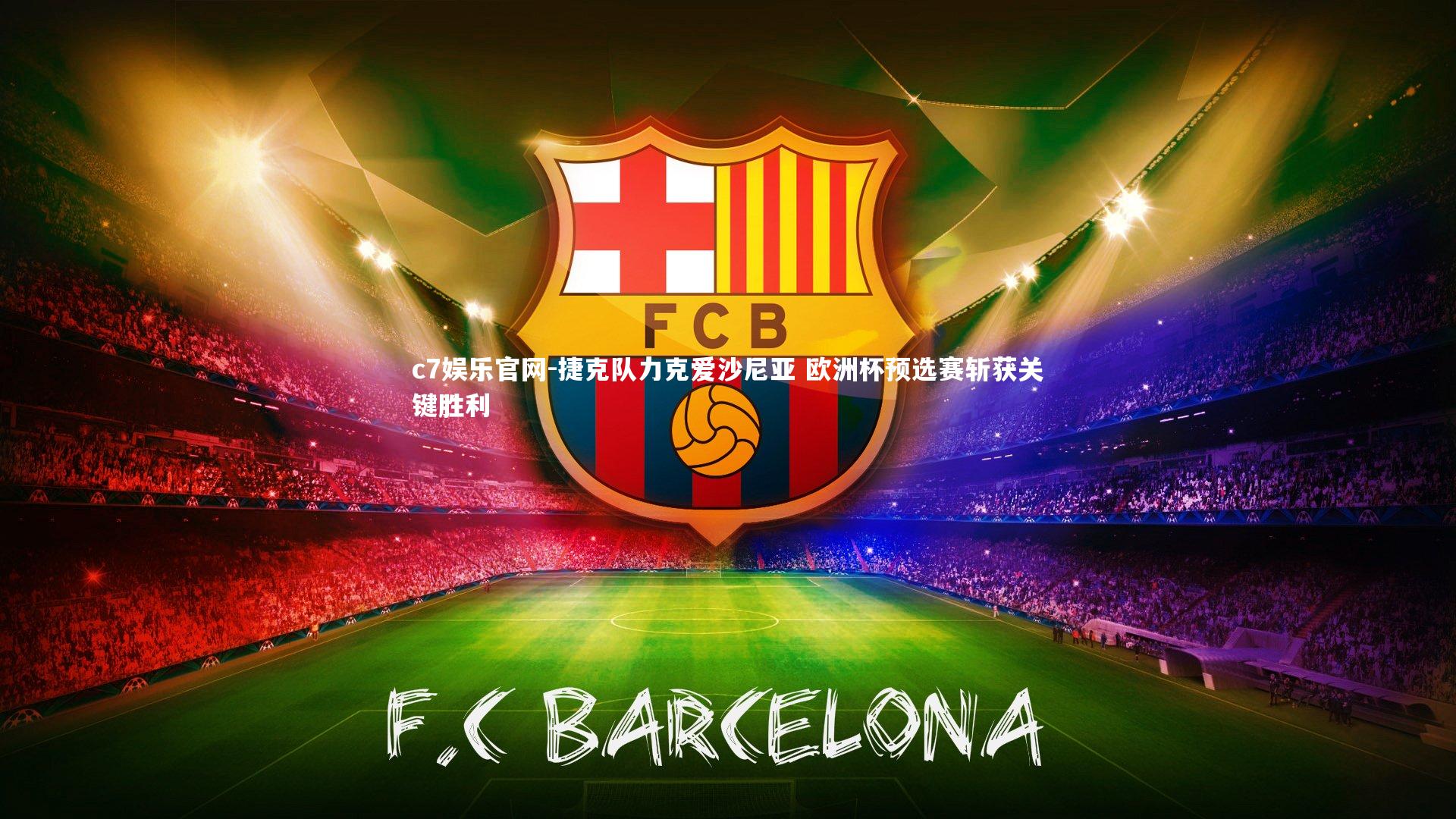 捷克队力克爱沙尼亚 欧洲杯预选赛斩获关键胜利