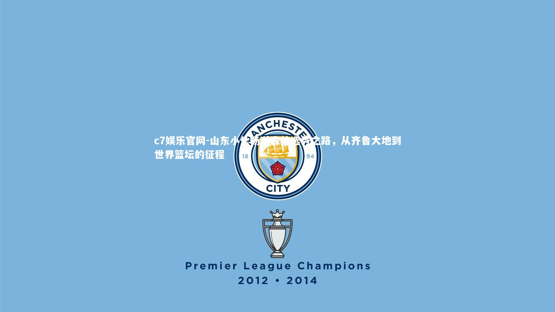 山东小伙杨瀚森的选秀之路,从齐鲁大地到世界篮坛的征程